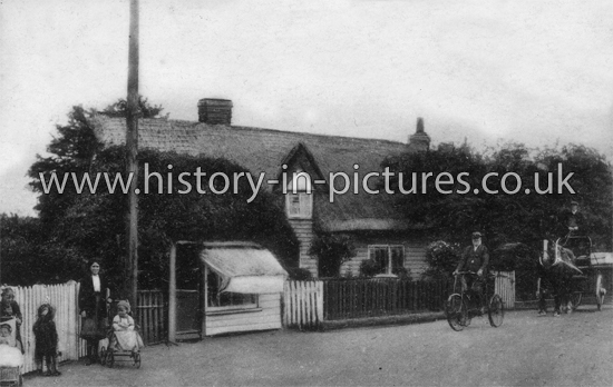 The Thatched Cottage, Southminster, Essex. c.1918
